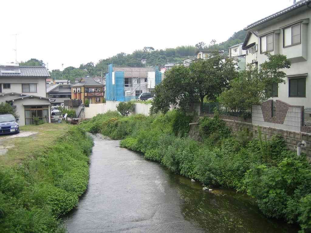 西面には小川が流れます。｜矢野の家～新築