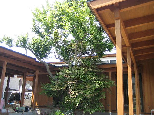 中庭からの眺め