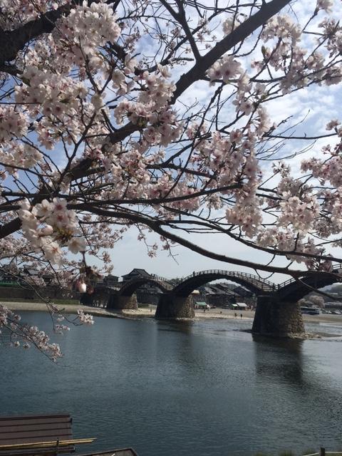 寒の戻り?