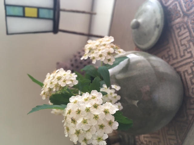 照らされて