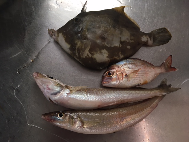 中休み