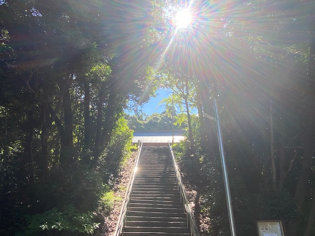 一日参り