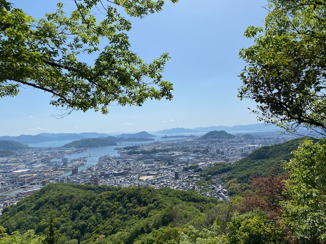 山に登ってみました