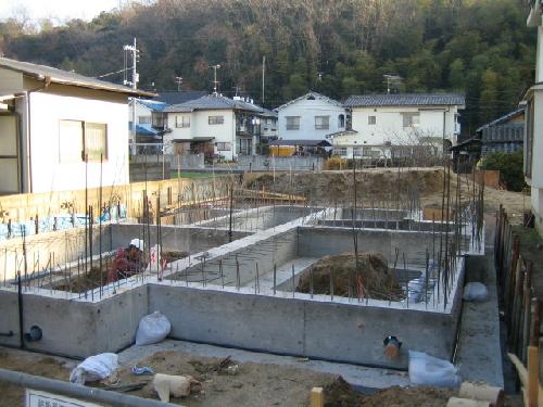 ホヤホヤの基礎