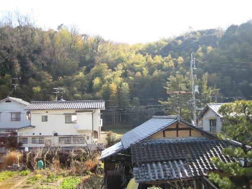 借景