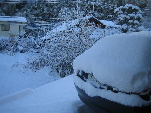 ドカ雪