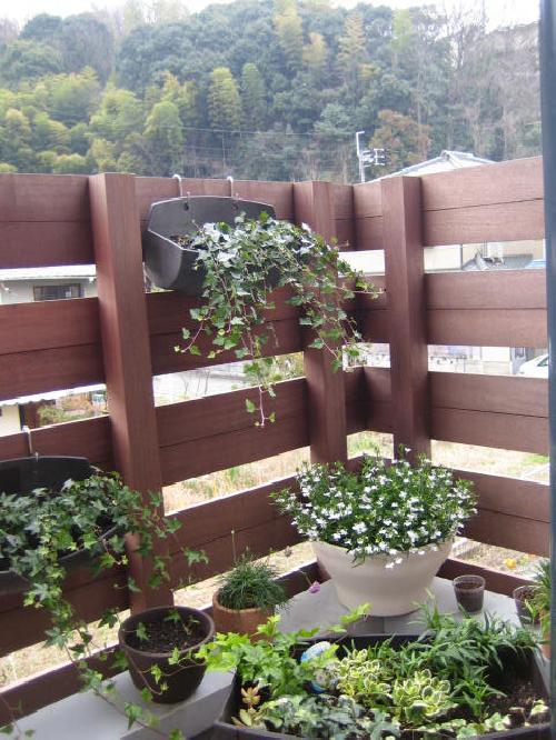 小さな森