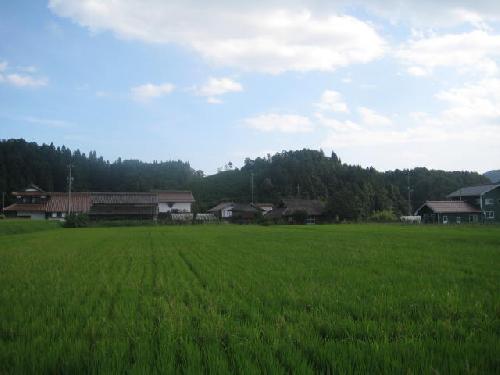 近況・・
