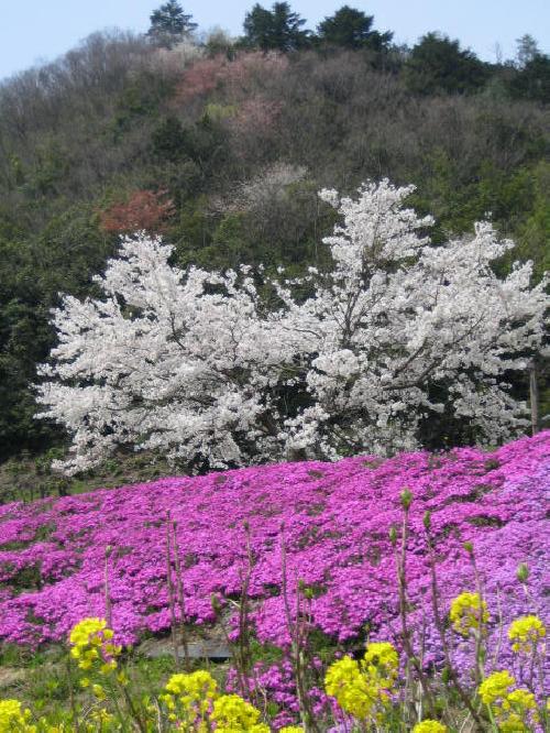 面白い企画
