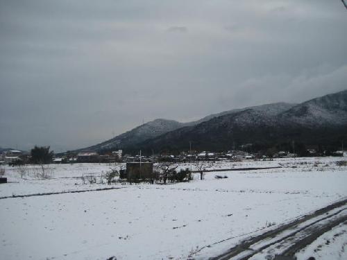 雪景色