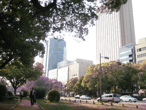 平和大通り