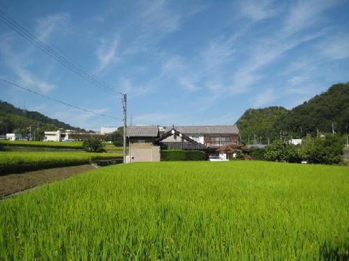 見積もり出し